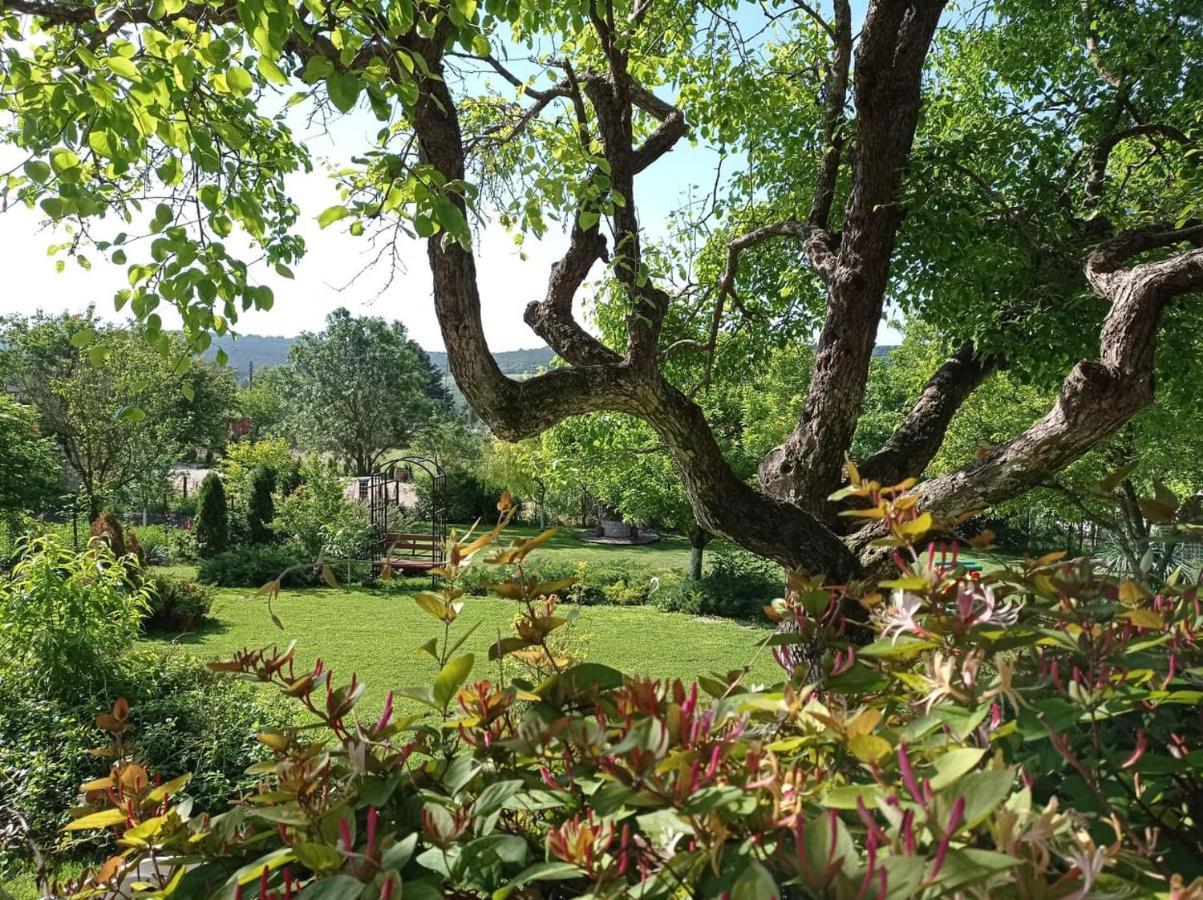 Villa Prolet General-Kantardzsievo Kültér fotó